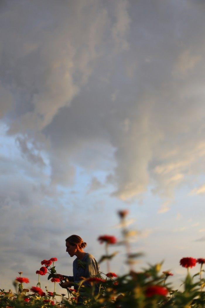 ClusterMeadowCalm workshop space where corporate flower arrangements are designed and prepared for business delivery